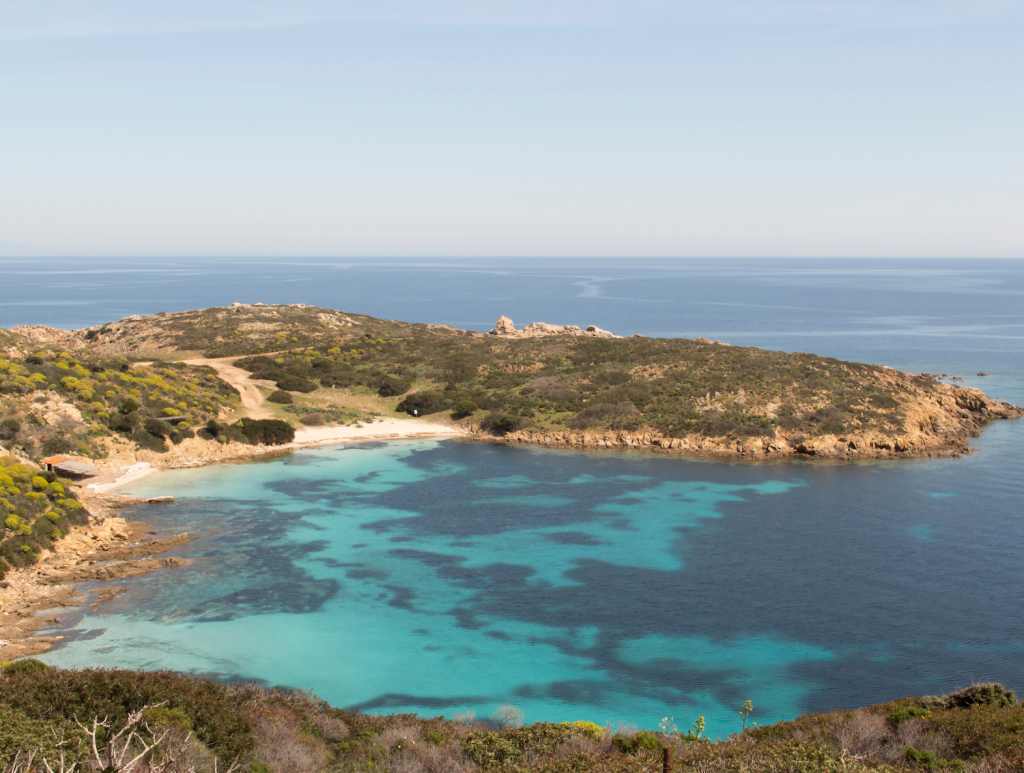 Isola Dell Asinara Sardegna Le Spiagge Pi Belle